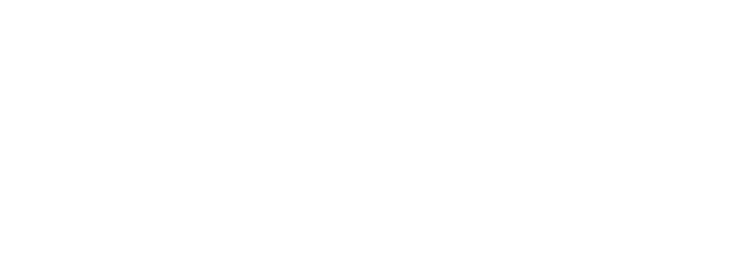 Logo branco do Núcleo de Estudantes de Informática do ISEP (NEI)